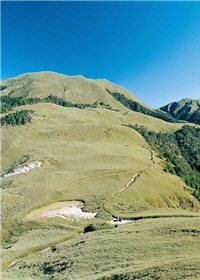 默默耕耘的守護員捍衛山林之美。圖為玉山箭竹草原/呂理雍攝