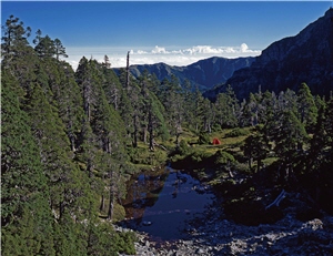 翠池旁的玉山圓柏林，是相當難得的玉山圓柏純林。用廣角鏡頭將清透的翠池與周圍的圓柏一併攝入，意境宛如歐洲山間