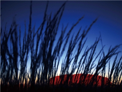 盛名遠播的巨石/徐至能攝