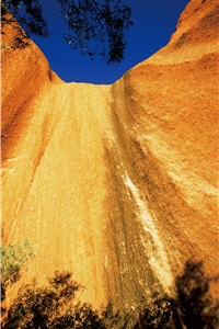 在午後的陽光下，石頭呈現耀眼的金黃。巨岩顏色變化萬千，引人入勝/徐至能攝