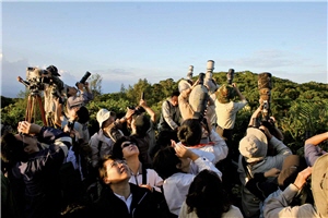 秋季社頂凌霄亭上，興奮的賞鷹民眾皆迫不及待地補促重要的一刻/蔡乙榮攝