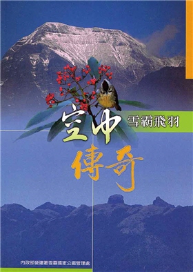 空中傳奇雪霸飛羽