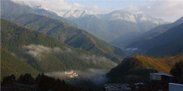 位於山中的武陵谷地，成了迷路海鳥暫棲之所