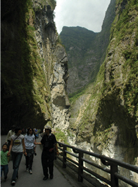 九曲洞步道可感受太魯閣峽谷的磅礡氣勢/太管處提供，林茂耀攝