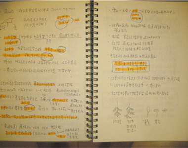 密密麻麻的解說筆記，這還只是苦大哥眾多「私房秘笈」中的一小部分/苦苓攝