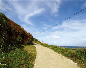 阿朗壹古道的出口。無盡延伸的道路希冀著我們能讓它有更久遠的未來/洪廣智攝