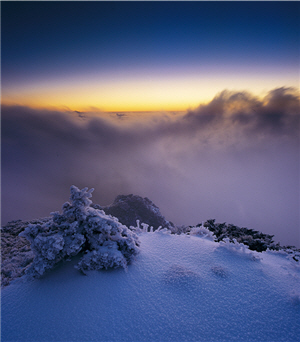 白雪靄靄的遠山作中景來強調環境，壯觀的雲霧或晨昏絢麗的彩霞做遠景襯托氣勢。(攝於太魯 閣國家公園)