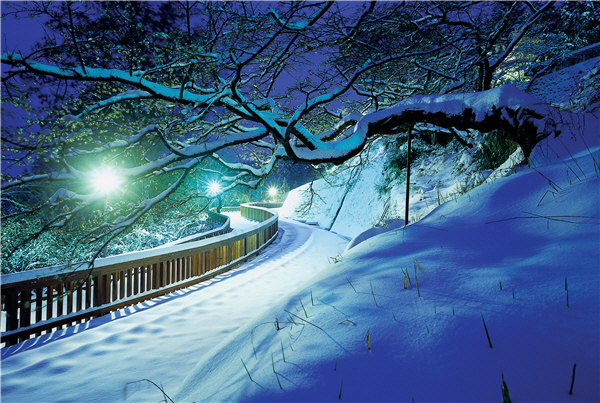 2005年阿里山區降下百年大雪，細白綿密的瑞雪，使遊客熟悉的沼平車站散發著仙境般的絕美意境。