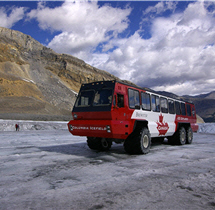 原本只運載 8人的履帶冰原車，1981年後研發出的 56人座的冰原雪車／Timk Wang攝