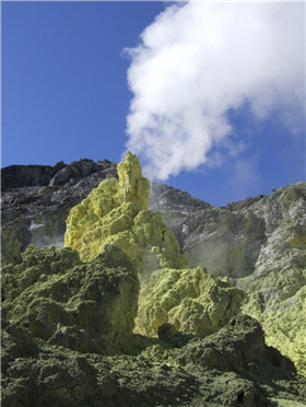 美麗乎？脆弱乎？