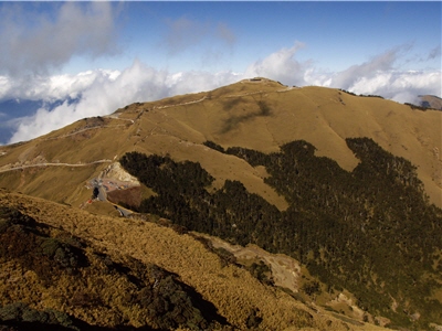 合歡山森林界線：合歡山區接近峰頂附近可見台灣冷杉與玉山箭竹間形成明顯的森林界線，氣候變遷也反映在森林界線的高低／太管處提供，游登良攝