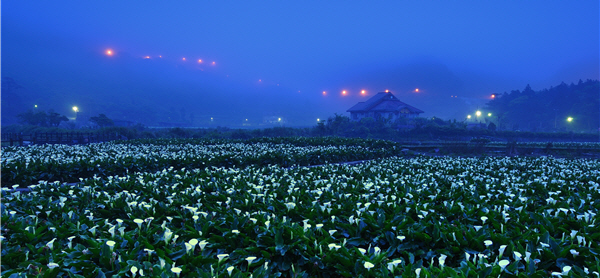 面積小的陽明山國家公園跟玉山完全不同,無論是大屯山、七星山系,甚至是動植物,都給人秀麗的感覺/宋國承(2008「eye上國家公園攝影比賽」優選獎)