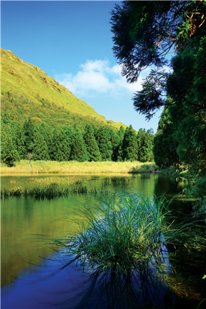 有別於解說手冊上工整的描述夢幻湖的生成與水韮特性，張老師的散文更添詩情畫意/戴進元攝