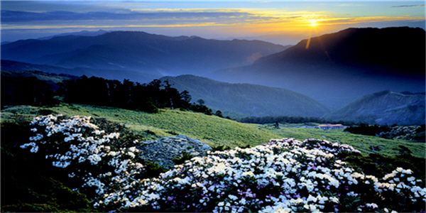 唯有文字可以留住千年前的璀璨非凡，可以重現山川美景曾有的榮光／太管處提供，戴進元攝