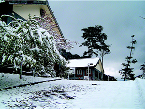 白雪皚皚的雪霸國家公園管理站,有如置身歐洲的童畫秘境/張燕伶攝