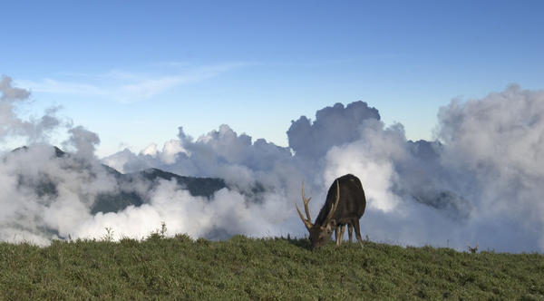 人們從自然中領會尊重生命的意義/Chen Peng Guang 攝