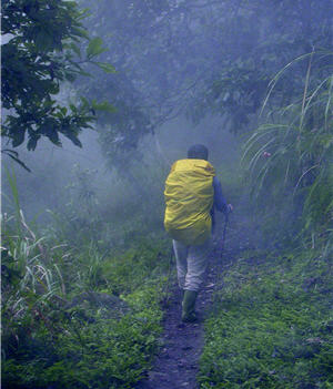 走入深山溪壑間，只為能取得野生動物的珍貴紀錄／吳海音提供