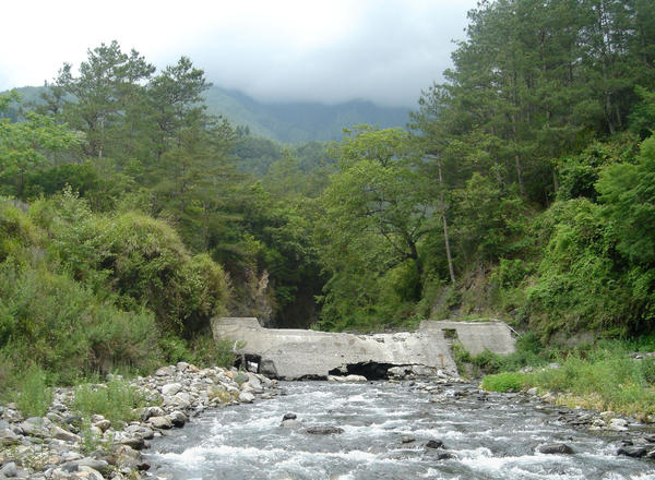 沉默不脆弱  守護與重生