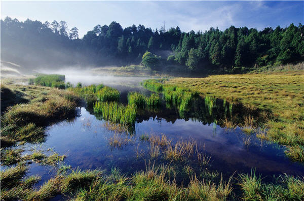 宜蘭加羅湖，帶著遺世獨立的美麗