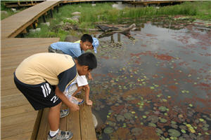 溼地內有豐富多元的生態系統，肩負著教育下一代的重要意義