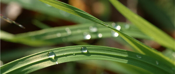 玉山入圍世界新七大自然奇景