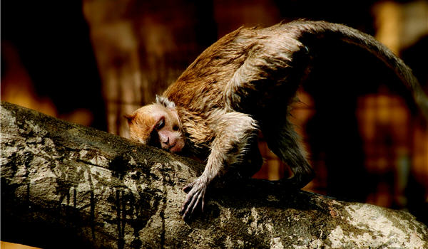 當我們用心去體驗另一個生命，便能珍惜自己得來不易的生命