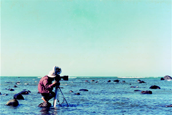 拍攝淡水候鳥，劉燕明一蹲數小時