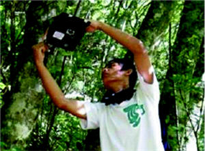 紅外線自動相機必須架設於樹木主幹，最好的裝設時機是在中午