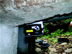 陽管處在生態廊道口設置的紅外線自動相機