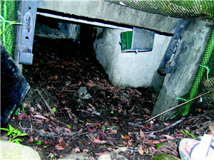 陽管處在生態廊道口設置的紅外線自動相機