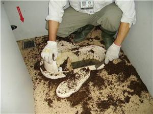 首創生態法清洗乾式廁所便器、地板避免二次污染