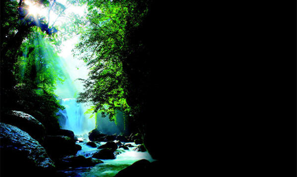 保育成長 生生不息