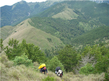 穿山越嶺，只為追尋隱密熊蹤／黃美秀提供