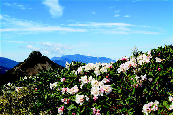 對於嚮往山林的人而言，能再次親近這神聖的世紀奇峰，相信一切辛苦都是值得/薛倉榮攝