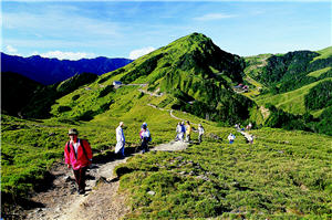 石門山步道是平緩易行的高山步道，適合夏季賞花
