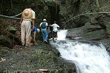 alt-墾丁國家公園秘境-守護里德欖仁溪的保護-1