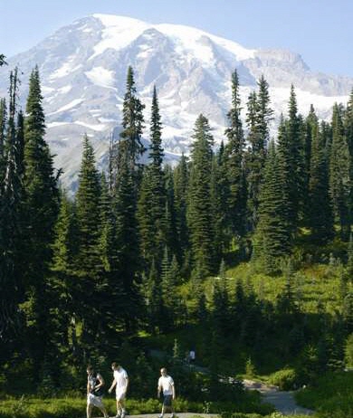 Establishing visitor trails in national parks ensure a balance between recreation and conservation