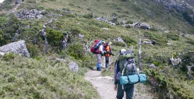 YSNP conducted high mountain ecology workshops to encourage hikers to be more environmental and ecological conscious during their hiking activities
