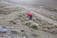 National parks have limited park rangers and volunteers; hikers are encouraged to pack out their own trash