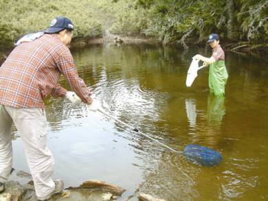 The volunteers of Shei-pa National Park Headquarters clear the Sinda Pond and research the water quality