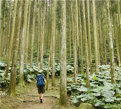 Dongyanshan National Forest Recreation Area