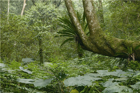 Leave Natural Features Undisturbed