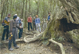 Observe Wildlife from a Distance