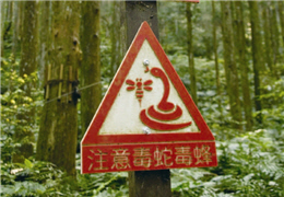 Observe Wildlife from a Distance