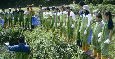 The 2005 working holiday was conducted in a seed-saving project in Yangmingshan, where a man-made pond was made more natural by volunteers