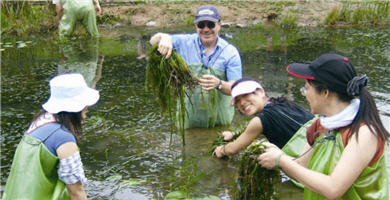 Working holidays often attract international volunteers