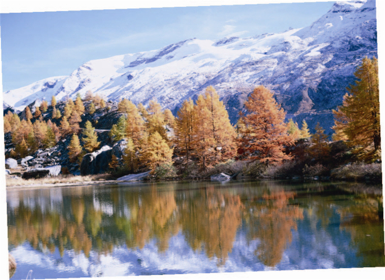 The Preservation Task for National Parks