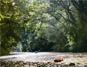 Waterway is the only access to the Tarman National Park and convenient for the park authority to control the number of visitors.