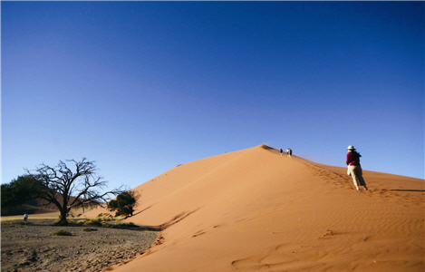 Rusty dunes are notable features of the Etosha National Park. Shown in this picture is Dune 45 at Namib Desert. 