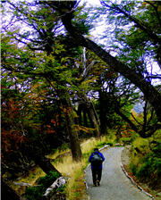 The trail system of Paine National Park is well designed